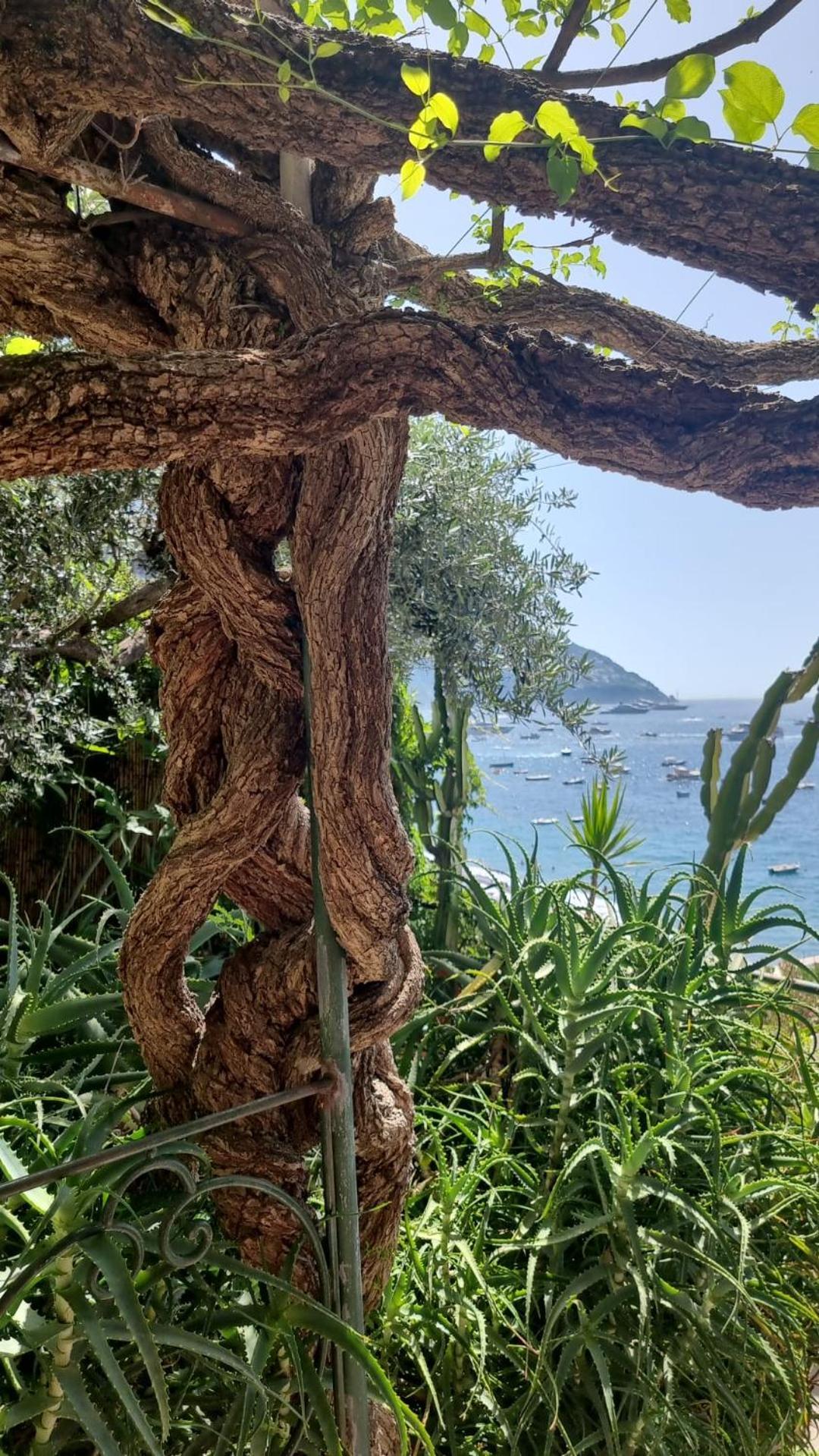 La Dolce Vita A Positano Boutique Hotel Екстериор снимка